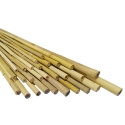 China Factory Bamboo Poles