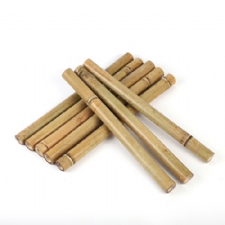 Plant Support Bamboo Poles