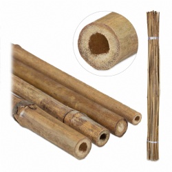 🌿🌼 Elevate Your Garden with Natural Bamboo Plant Supports 🌼🌿